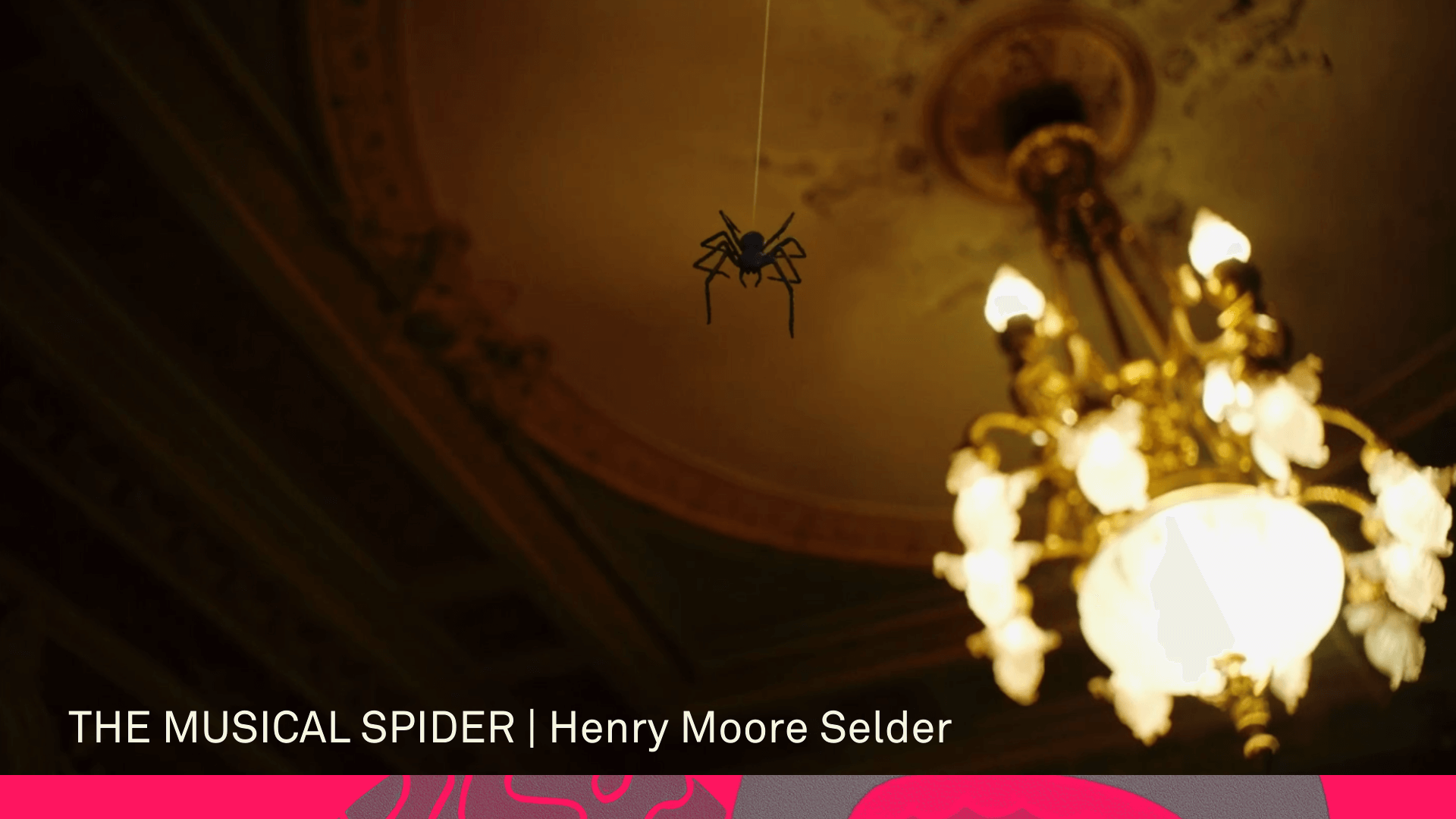 THE MUSICAL SPIDER